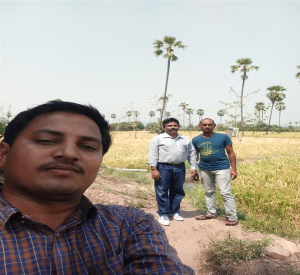 Jayashankar District                                                                                                                                                                                                                                       - Crop Cutting Expts.,                                                                                                                                   - Attend the Crop Cutting Experiments at Ghanpur(mulug) mandal chelpur(v) by Dy.S.O O/o CPO Office Jayashankar Bhupalpally                                                                                                                                        - dt.13/05/2019          